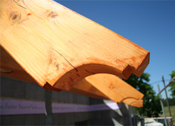 Haus1